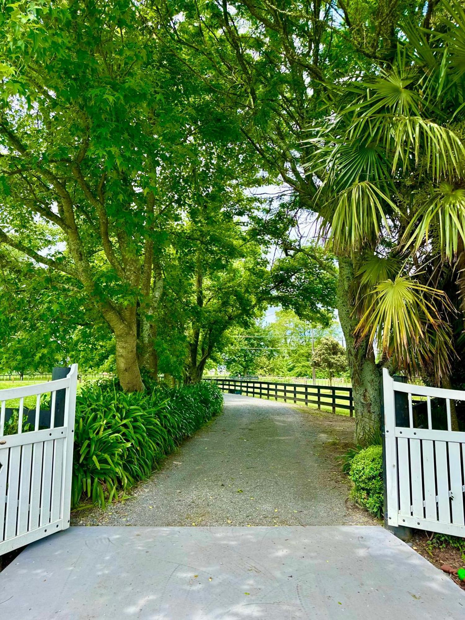 Matamata Country B&B Eksteriør billede